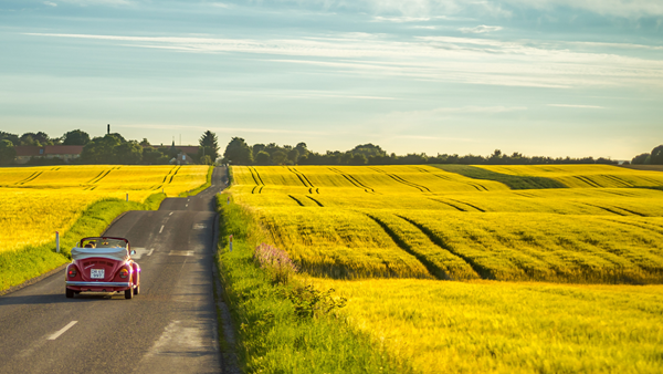 Bespaar 18-25% op vakantie in week 24-28