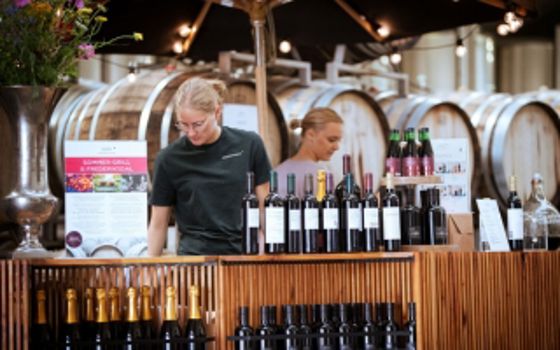 Frederiksdal Kirsebaervin