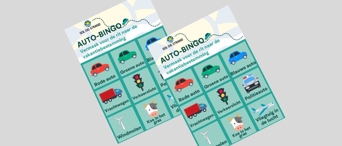 AUTO-BINGO