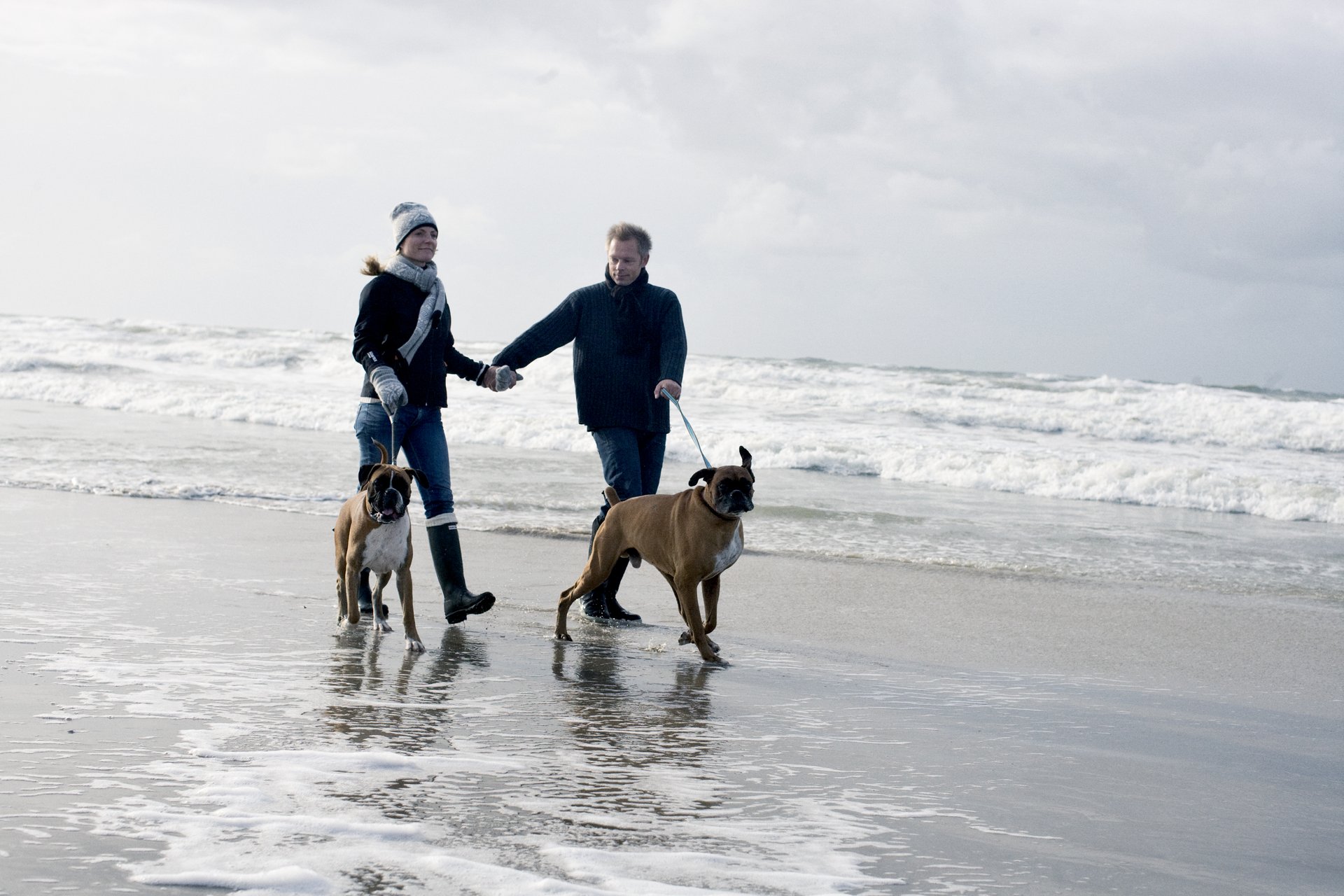 Efefterår 6936 Large