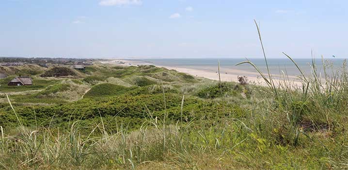 Blåvand