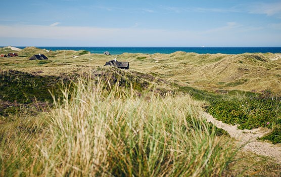 Sommerhuse mellem klitter